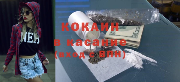 индика Алексин