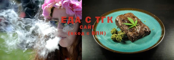 индика Алексин