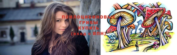 бошки Абаза
