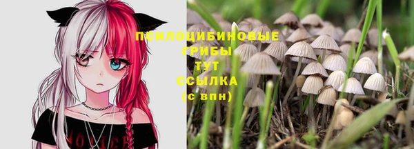 героин Алзамай