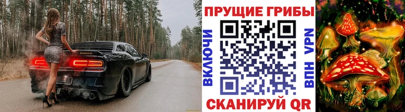 Псилоцибиновые грибы Psilocybe Иннополис
